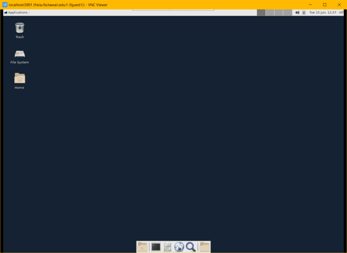 Desktop GUI on the remote host is shown in RealVNC Viewer