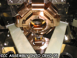 CCC Assembly Into Cryo 05